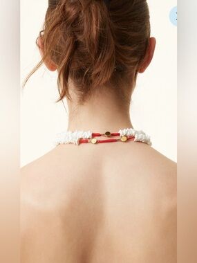 Roxanne Assoulin Extender 3I nches